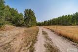 10468 Rig Ranch Road - Photo 59