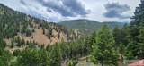 58 Bighorn Drive - Photo 5