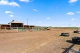 479 97th S - Photo 32