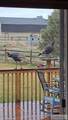 8198 Providence Lane - Photo 45
