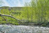 548 Hayden Creek Road - Photo 49