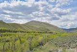 548 Hayden Creek Road - Photo 51