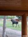 3761 Hwy 87 - Photo 80