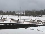 3761 Hwy 87 - Photo 82