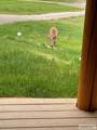 3761 Hwy 87 - Photo 87