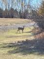 3761 Hwy 87 - Photo 88