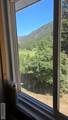 2209 Panther Creek Road - Photo 9