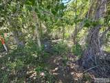 101 Lake Creek Road - Photo 63