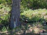 101 Lake Creek Road - Photo 65