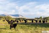 1705 Lemhi Road - Photo 10
