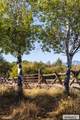 1705 Lemhi Road - Photo 59