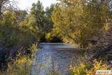 1705 Lemhi Road - Photo 8