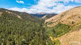 6013 Nounan Road - Photo 48