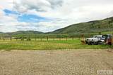 6013 Nounan Road - Photo 55