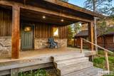 3770 Arctic Fox Drive - Photo 7