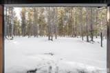 4353 Yeti Ln - Photo 12
