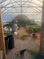 2967 2400 N - Photo 27