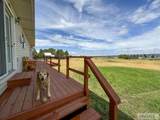 137 Spruce Street - Photo 21