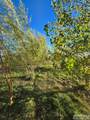 5566 49th N - Photo 60
