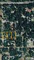 4780 Fir Street - Photo 2