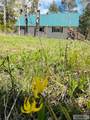 4780 Fir Street - Photo 5