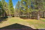 4020 Rancho Mccrea Road - Photo 55