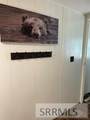 3767 Lodgepole Lane - Photo 36