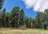 5611 2 Lazy 2 Road - Photo 50