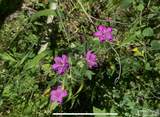 5611 2 Lazy 2 Road - Photo 57