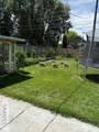 1095 Cassia - Photo 22