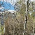 4780 Fir Street - Photo 17