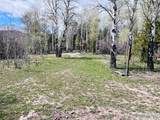 4780 Fir Street - Photo 19