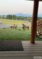 3761 Hwy 87 - Photo 79