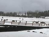 3761 Hwy 87 - Photo 82