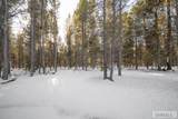 4353 Yeti Ln - Photo 2