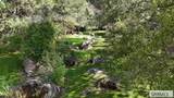 475 Rapid Creek Road - Photo 38