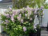 95 Spruce Street - Photo 55