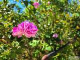 155 Jackson Street - Photo 6