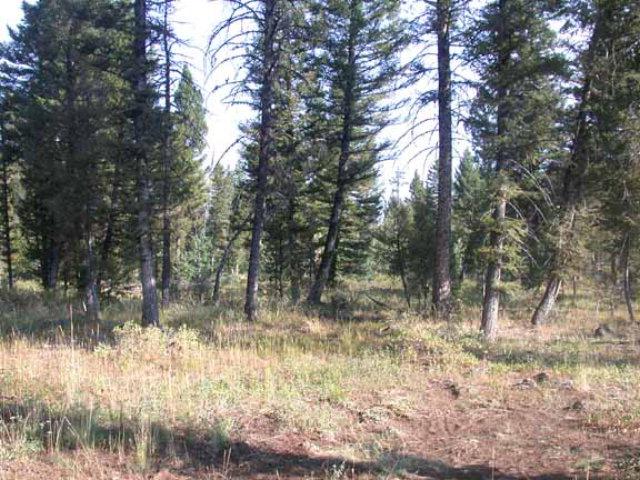2803 Morning Dew Drive - Photo 1