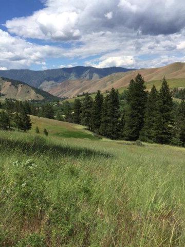 TBD Fourth Of July Creek Road - Photo 1