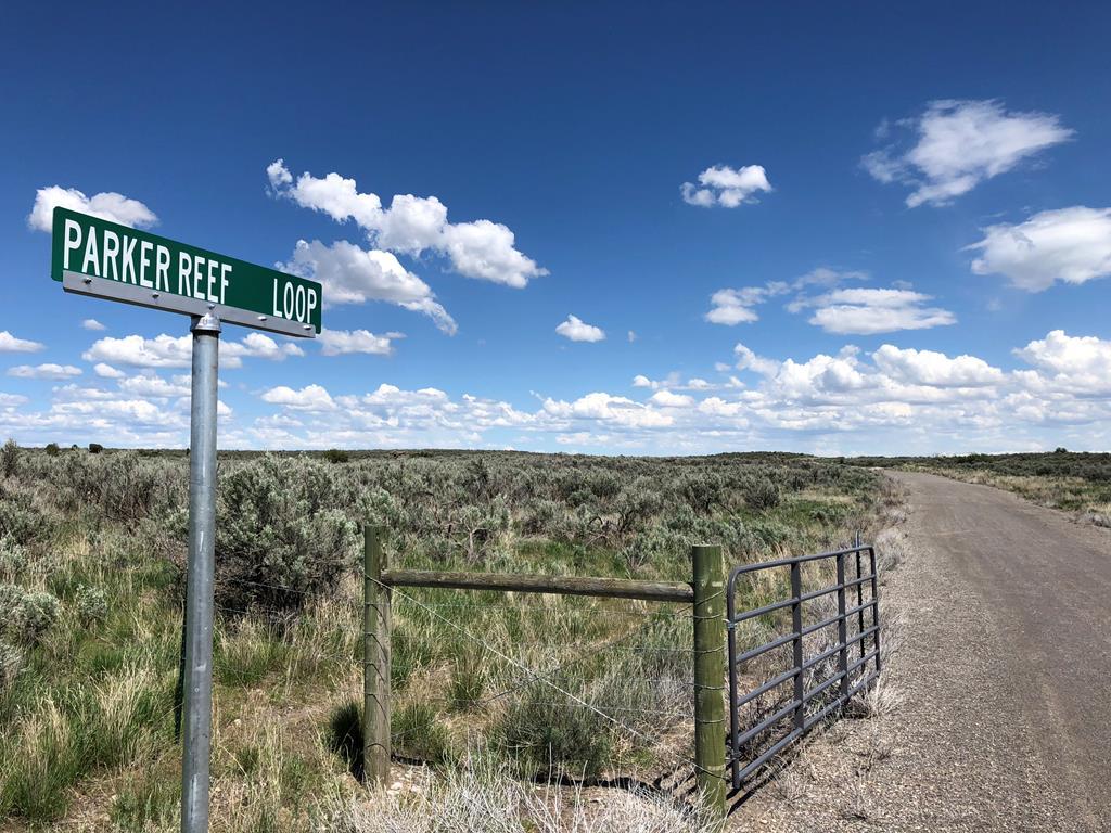 1921 Parker Reef Loop - Photo 1