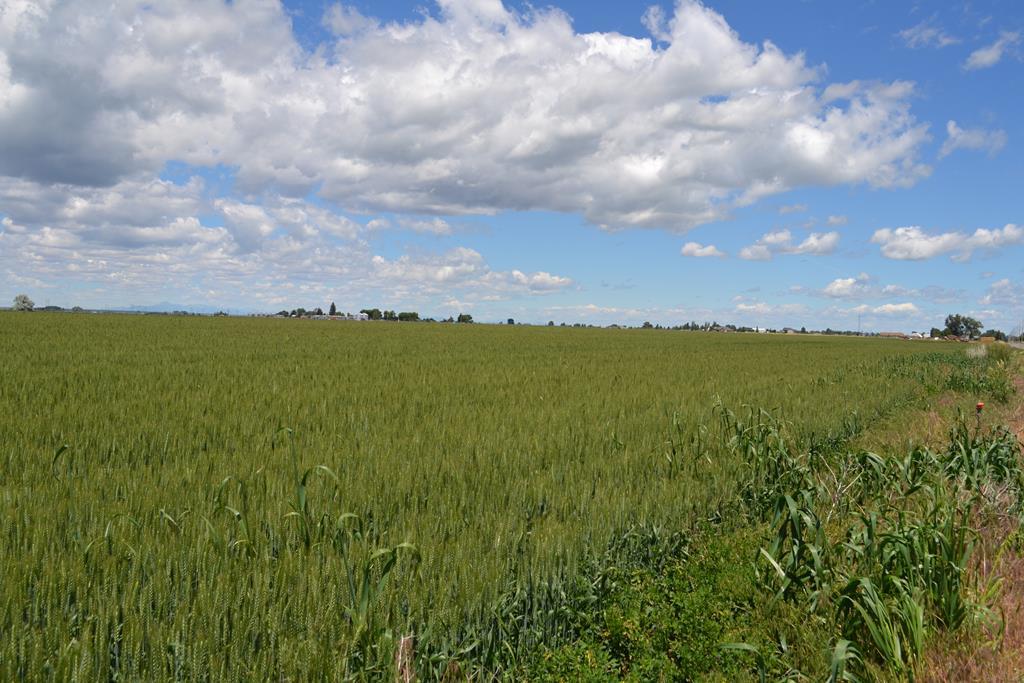 Lot #6 Sugar Factory Road - Photo 1