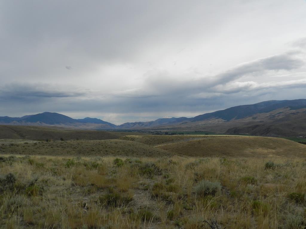 10 Antelope Drive - Photo 1