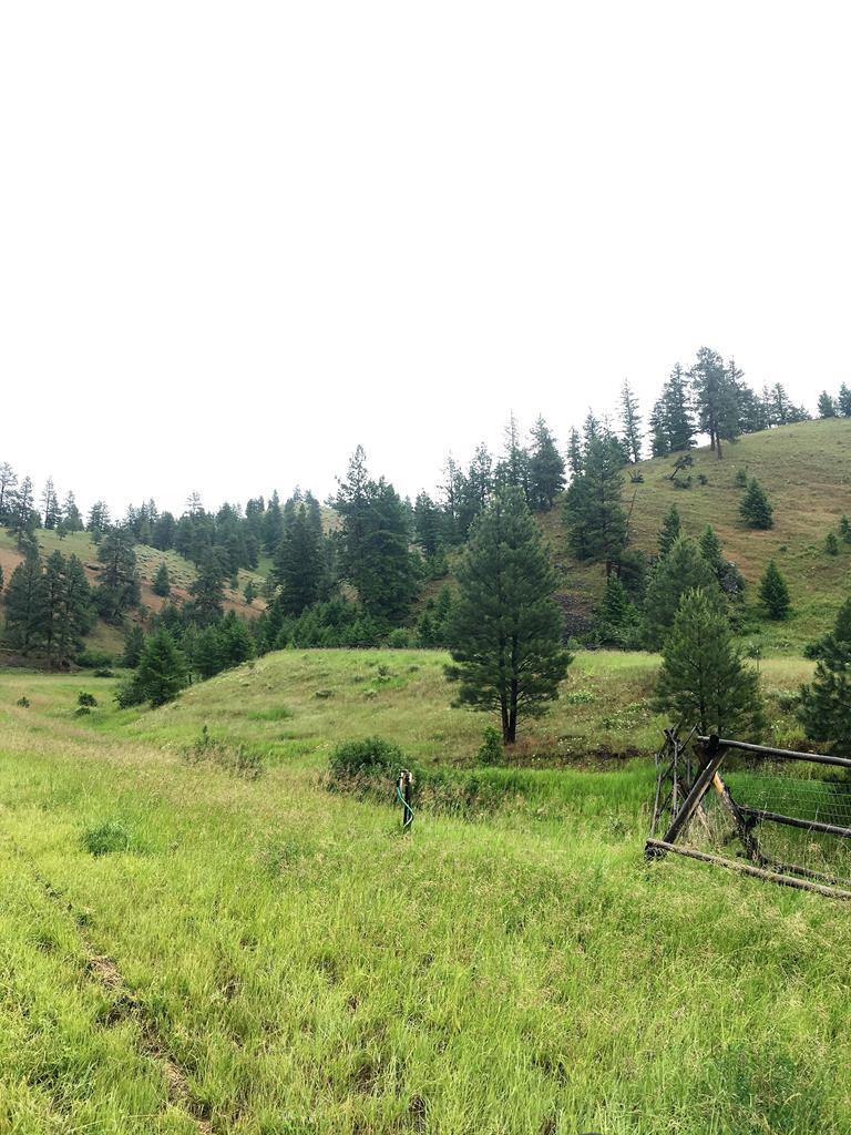TBD Dry Gulch Road - Photo 1