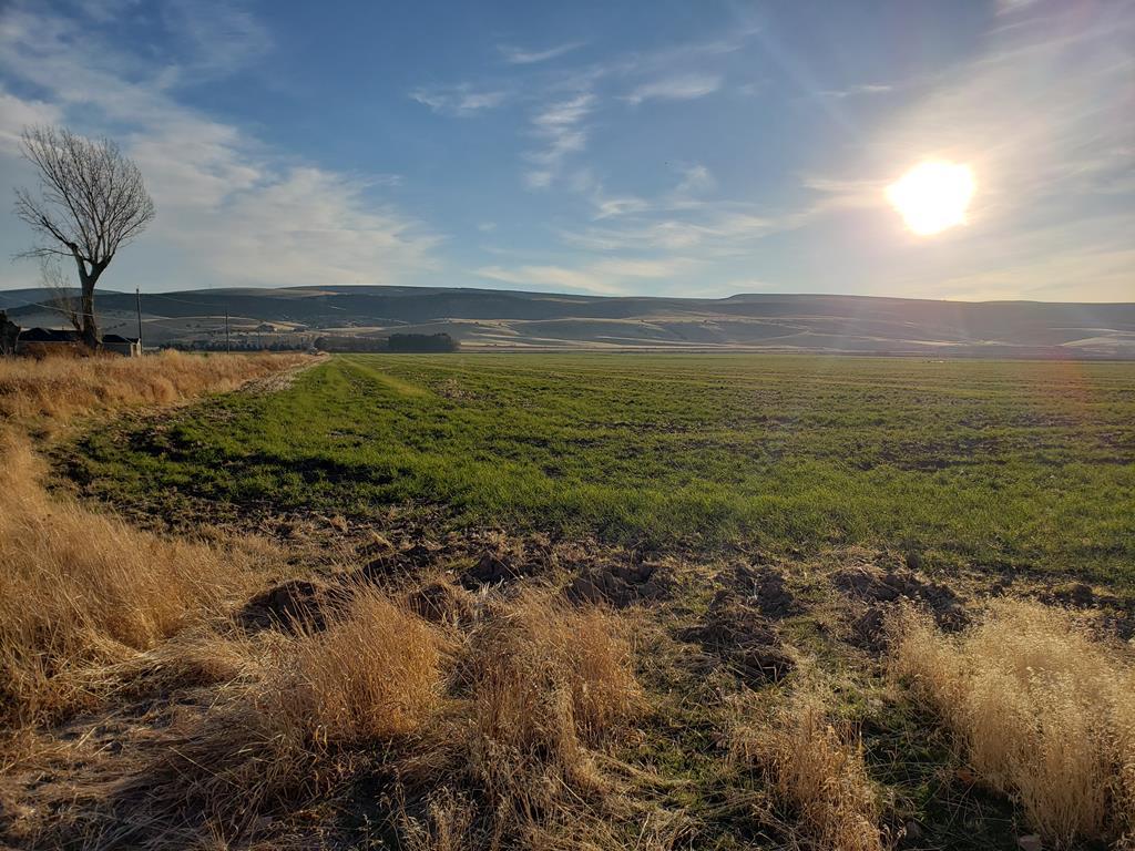 LOT 5 Monroe Road - Photo 1