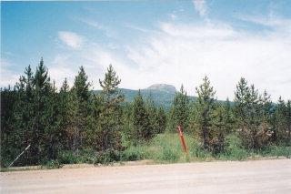 4492 Jm Loop Road - Photo 1