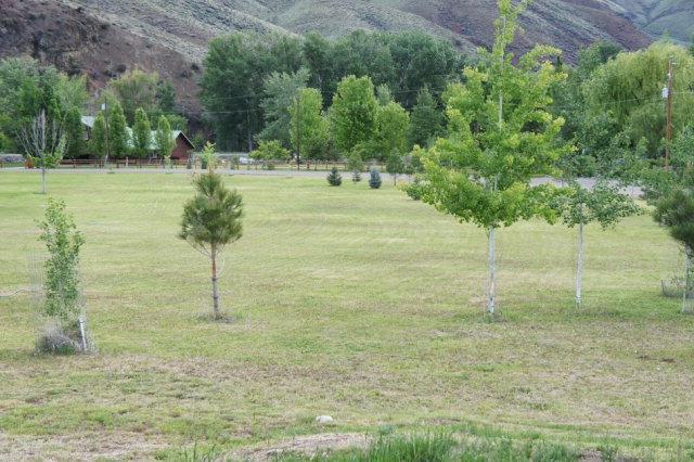 TBD- B Old Stage Road - Photo 1