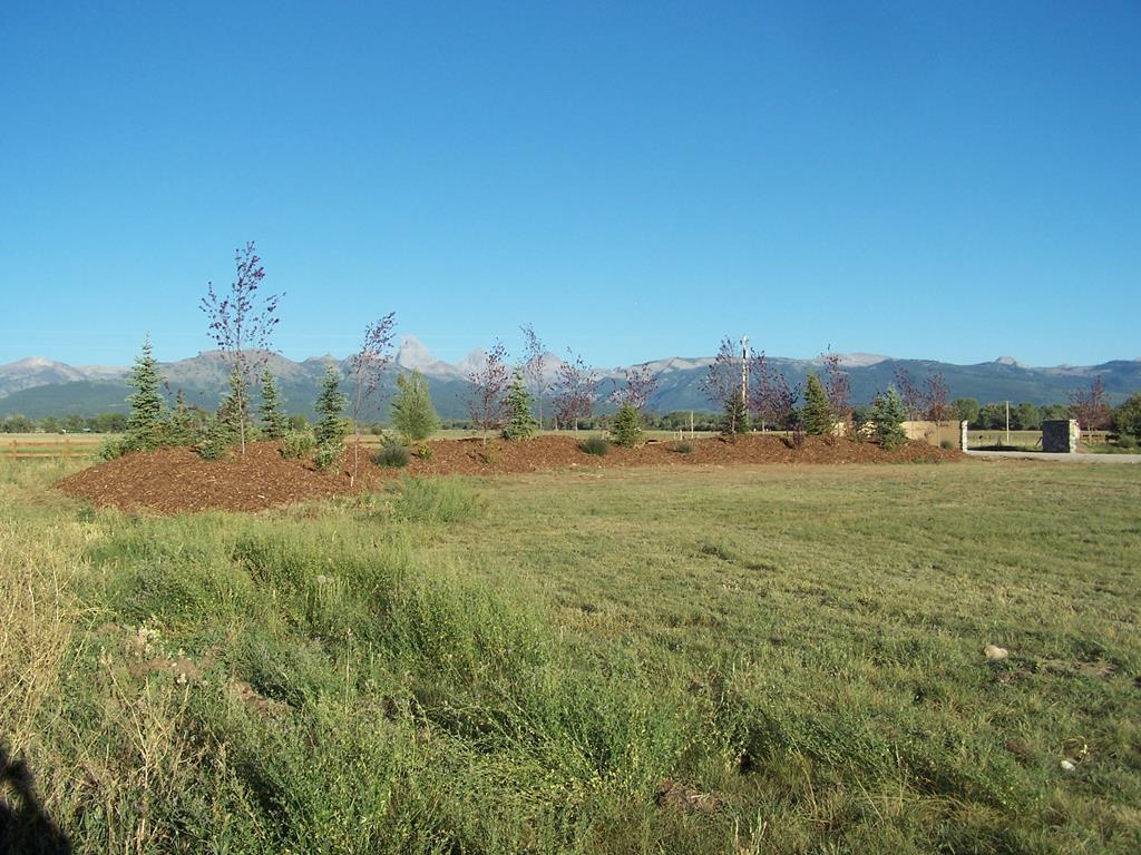 1412-L10 Leigh Meadows - Photo 1
