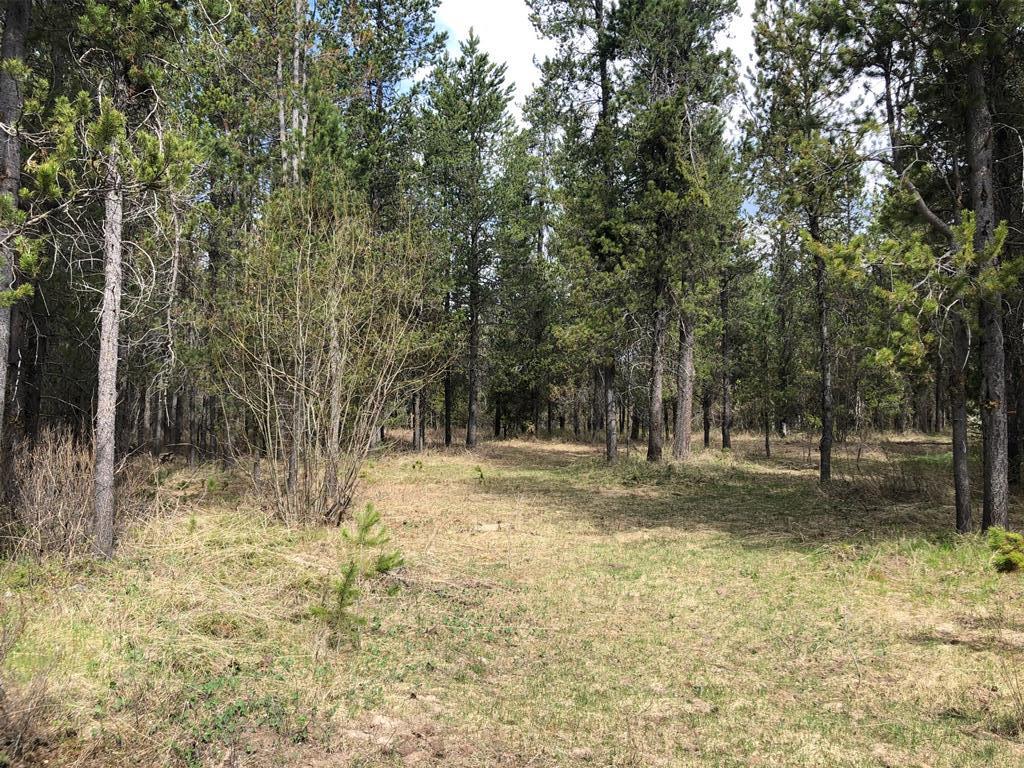 1609 Shadow Run - Photo 1
