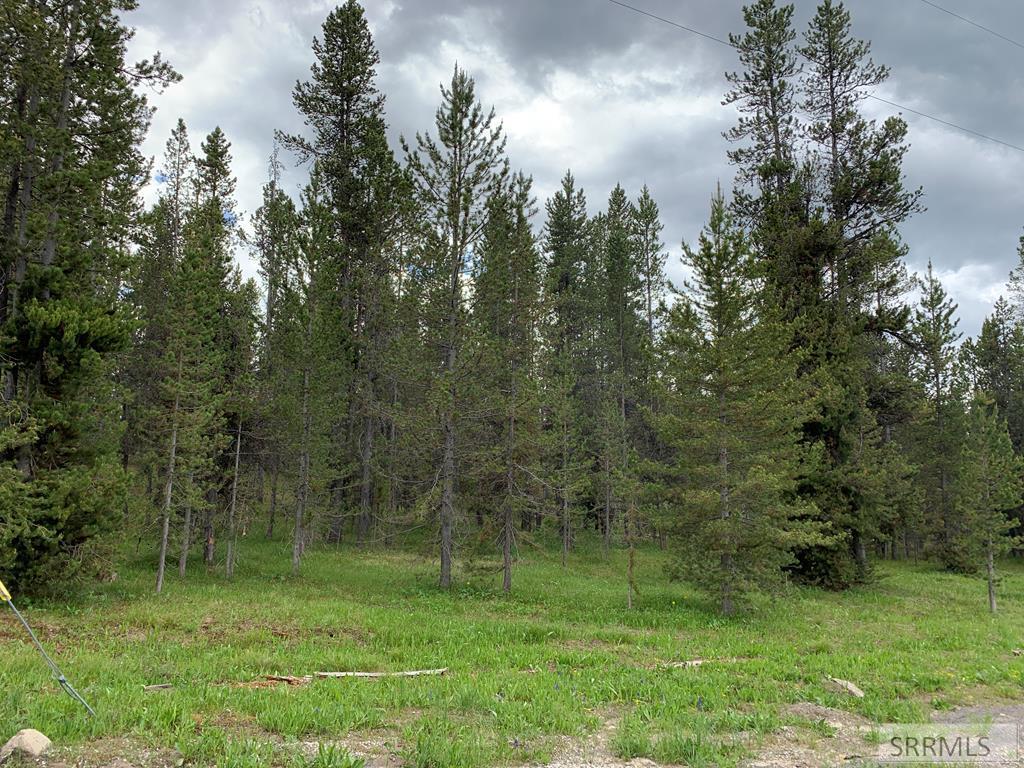 4128 Shoshone Avenue - Photo 1